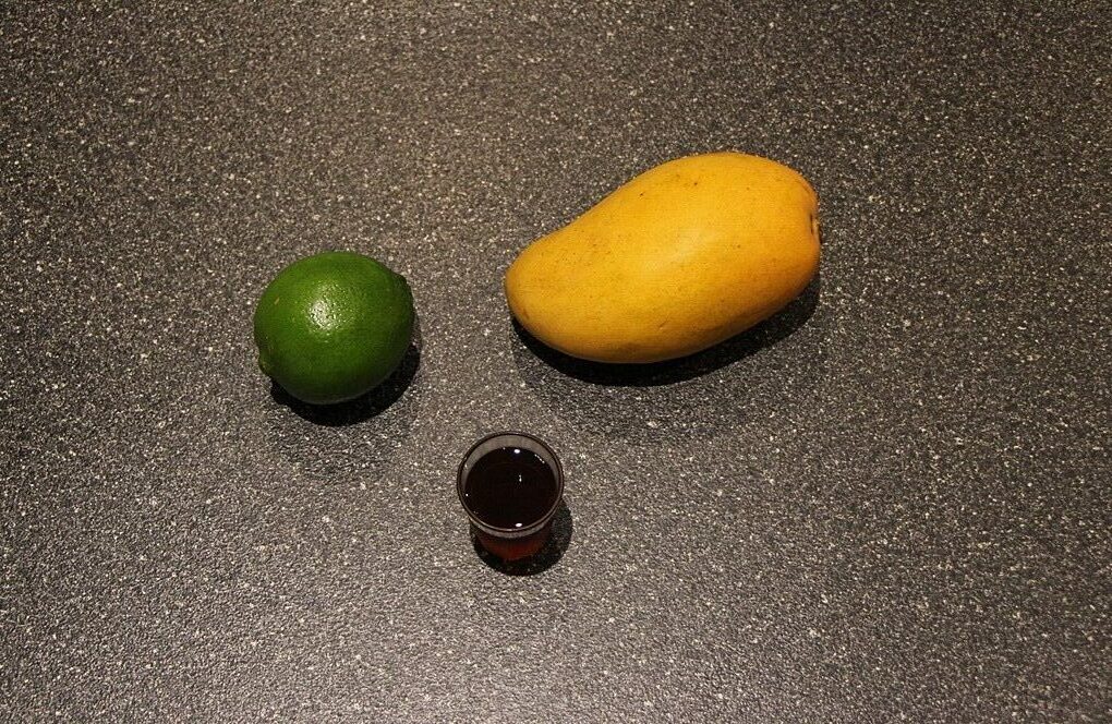 Ingredients for mango granita