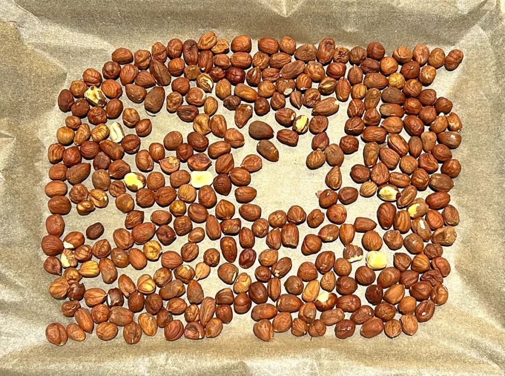 Hazelnuts on tray