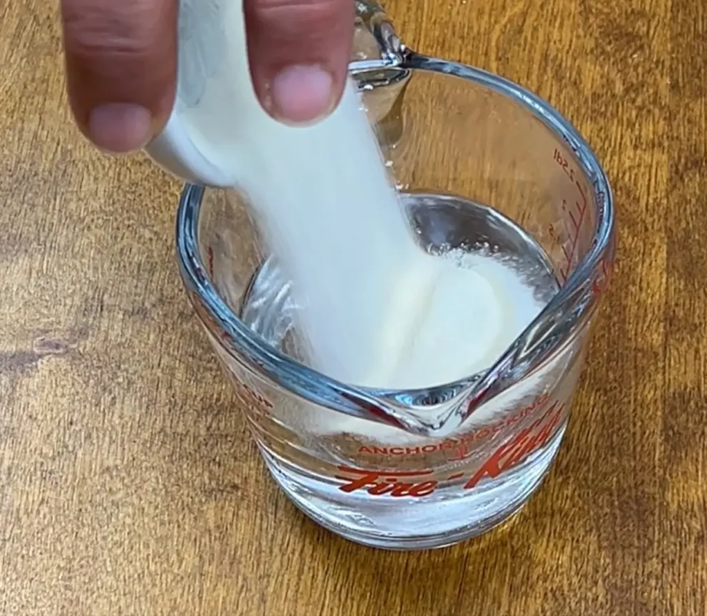 Mango pudding gelatine