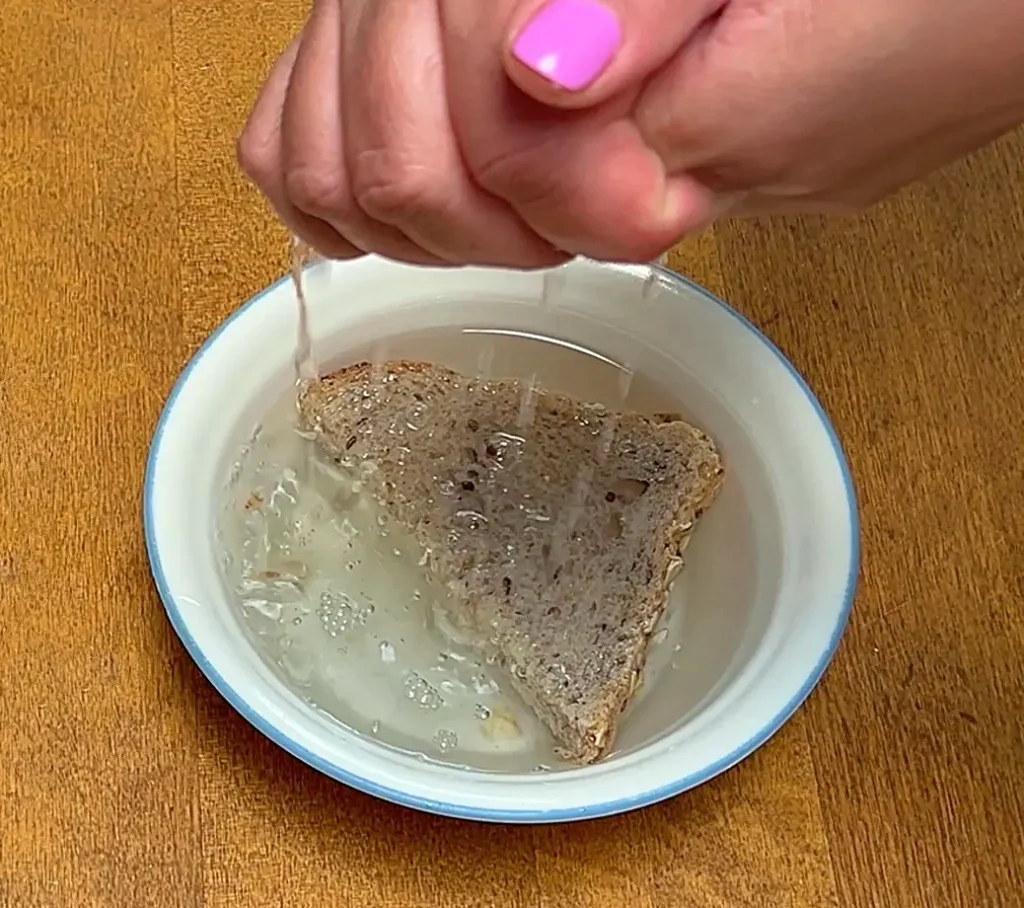 Gazpacho soaked bread